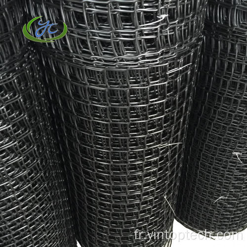 HDPE Plastique Mesh carré